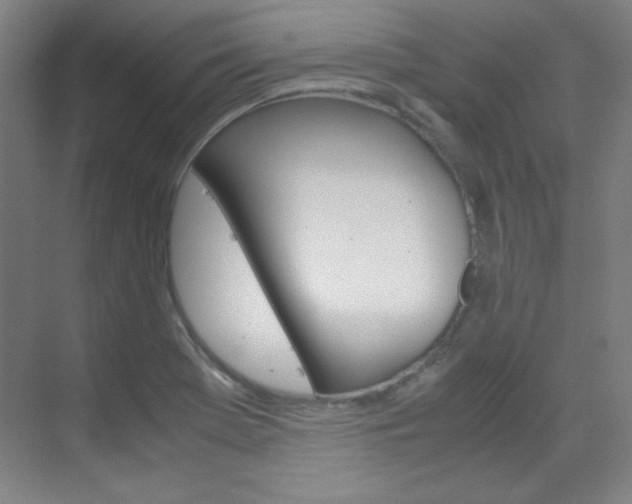 X0000070171369200605260953