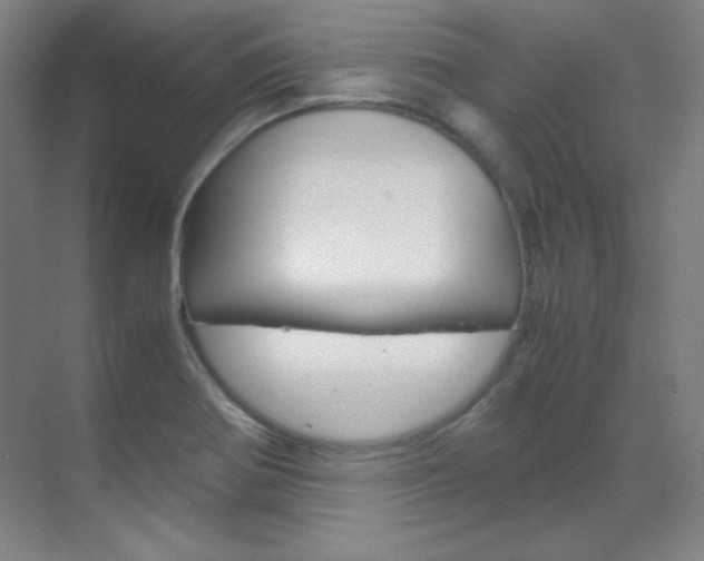 X0000070171370200605260953