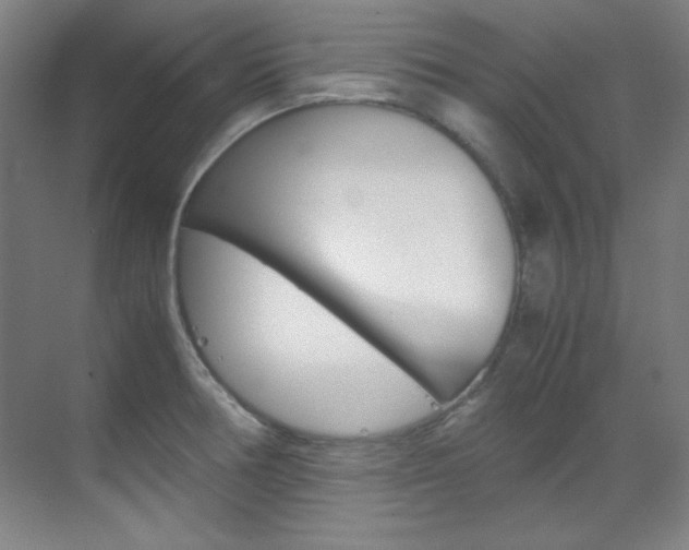X0000070171378200605260953