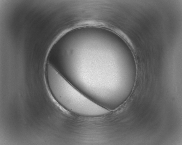X0000070171381200605260953