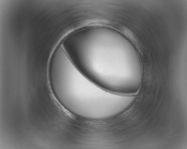 X0000070171384200605260953