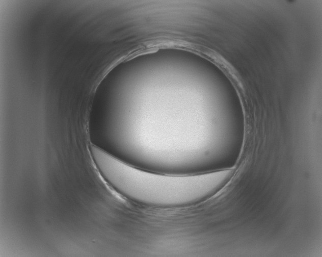 X0000070171385200605260953