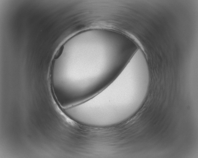 X0000070171387200605260953