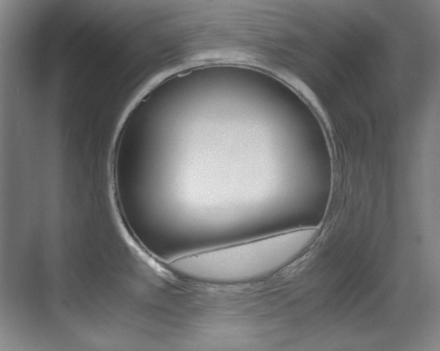 X0000070171389200605260953