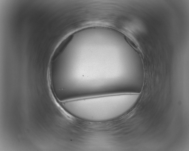 X0000070171391200605260953