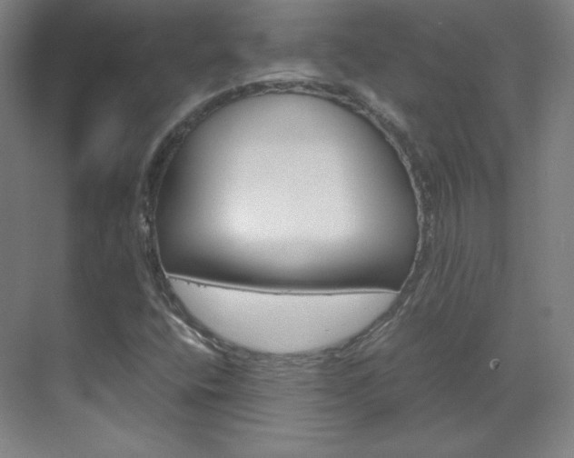 X0000070171400200605260952