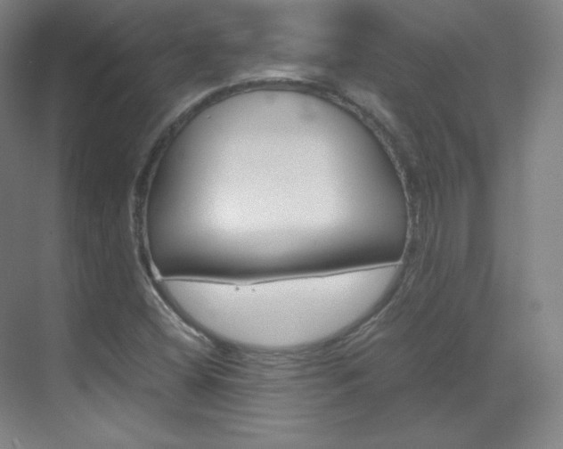 X0000070171404200605260952