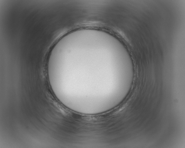 X0000070171405200605260952