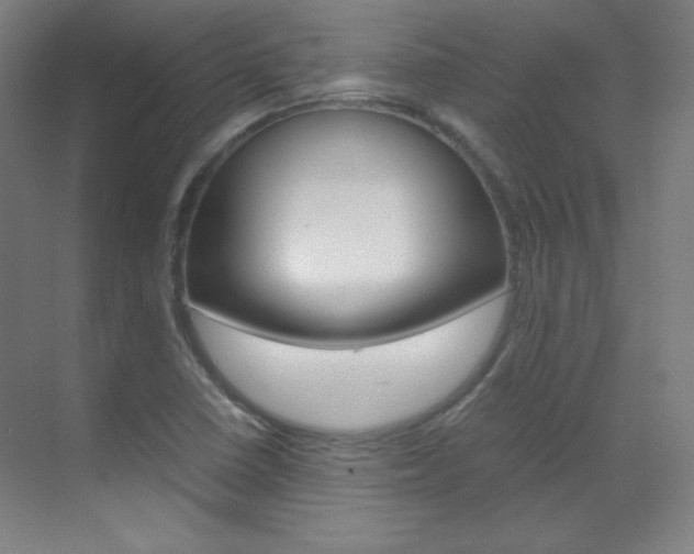 X0000070171410200605260953