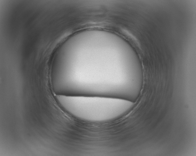 X0000070171411200605260953