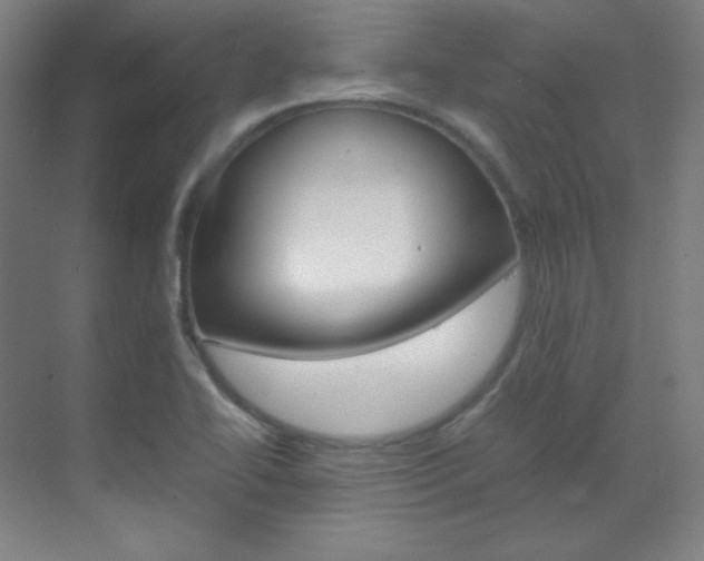 X0000070171414200605260953