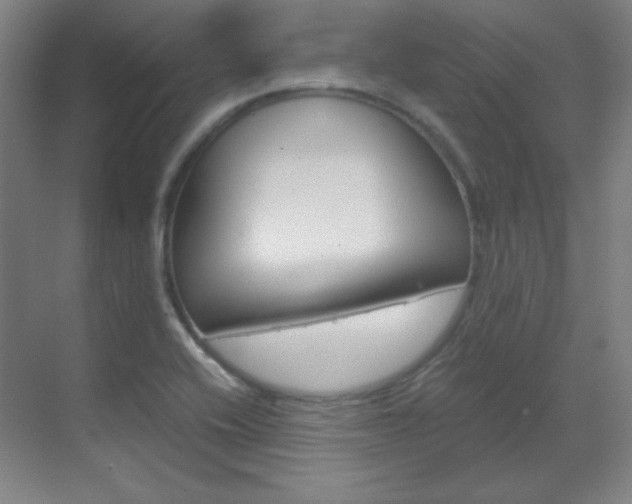X0000070171416200605260953