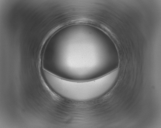 X0000070171418200605260953