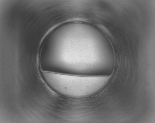 X0000070171420200605260953