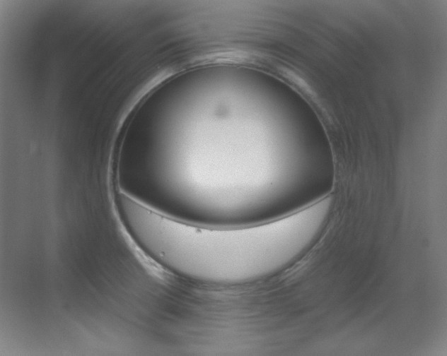 X0000070171426200605260953