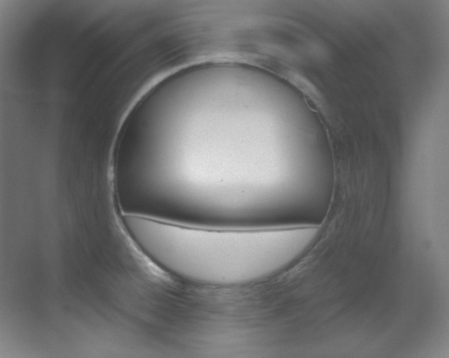 X0000070171428200605260953
