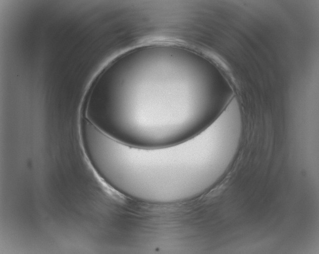 X0000070171430200605260953
