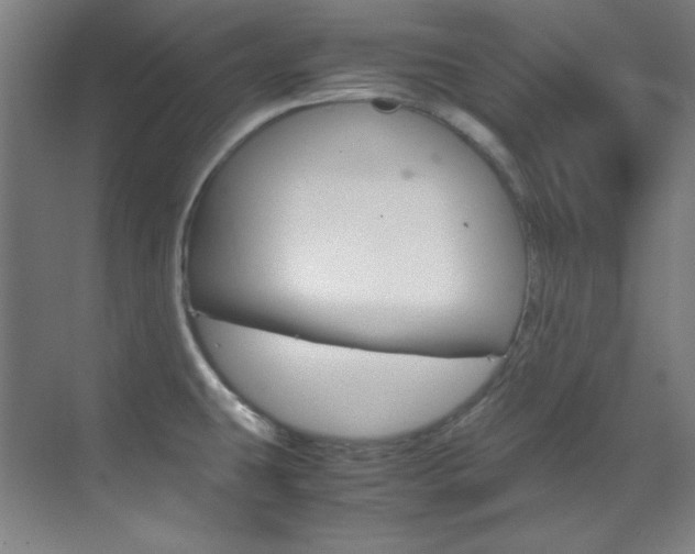 X0000070171431200605260953