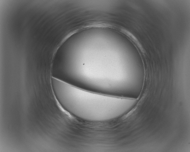 X0000070171433200605260953