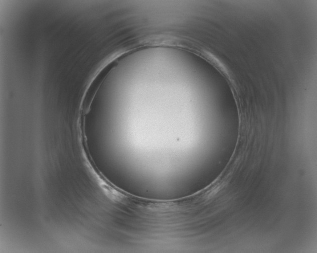 X0000070171434200605260953