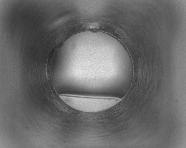 X0000070171442200605260952