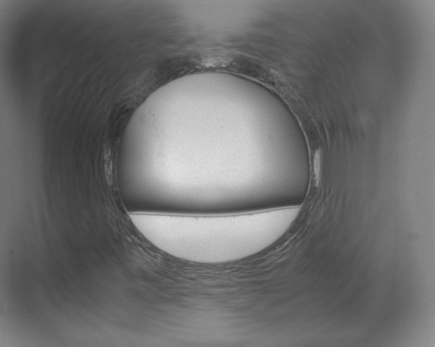 X0000070171443200605260952