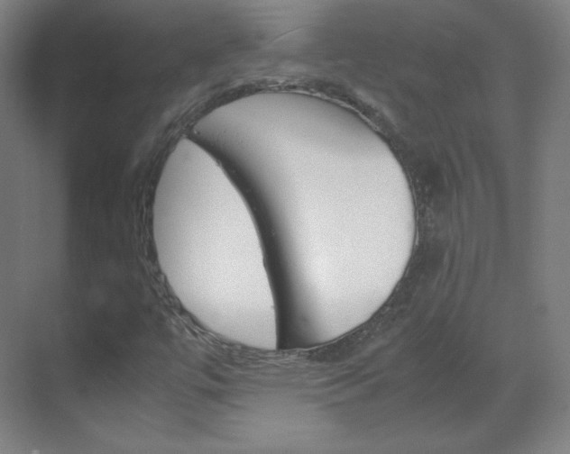 X0000070171447200605260952