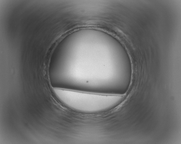 X0000070171449200605260952