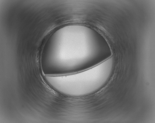 X0000070171450200605260952