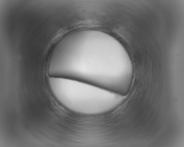 X0000070171451200605260952