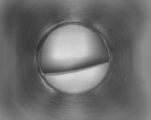 X0000070171452200605260952