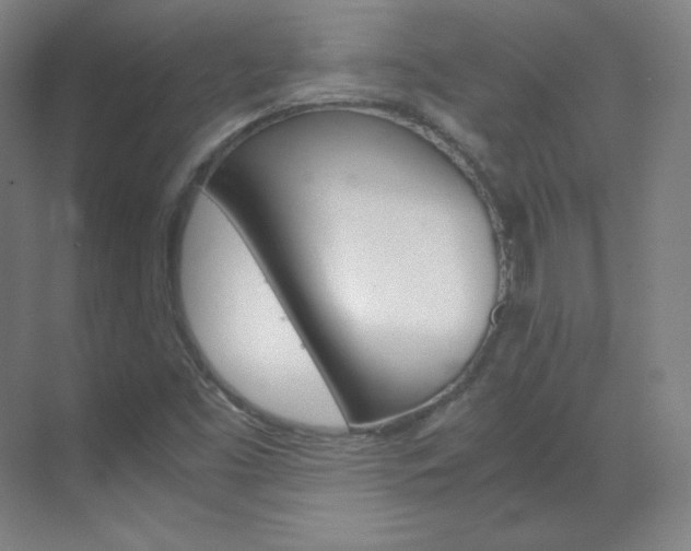 X0000070171453200605260952
