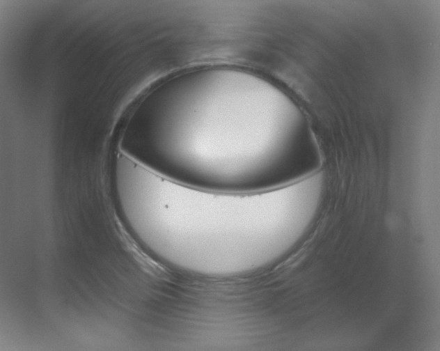 X0000070171458200605260952