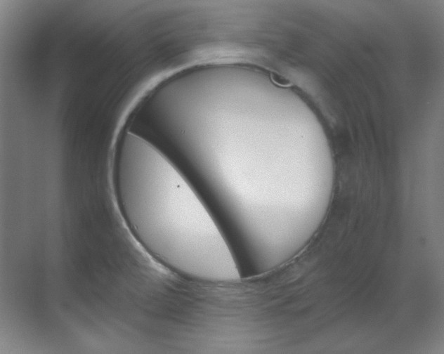 X0000070171472200605260952