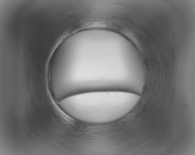 X0000070171475200605260952