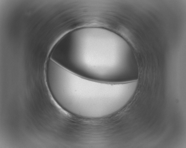 X0000070171476200605260952