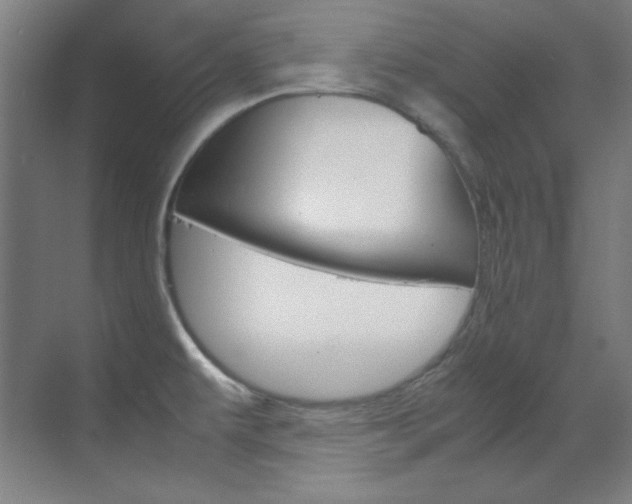 X0000070171479200605260952