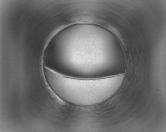 X0000070171480200605260952