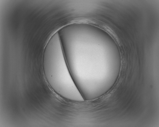 X0000070171481200605260952