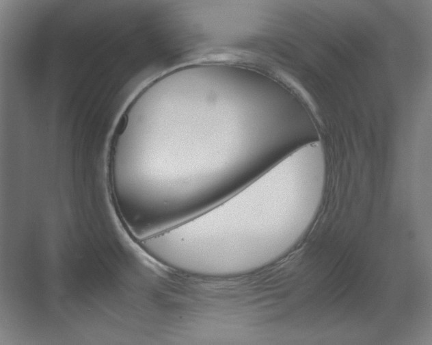 X0000070171483200605260952
