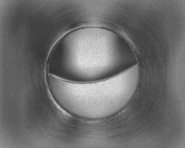 X0000070171484200605260951