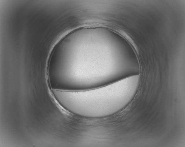 X0000070171485200605260951