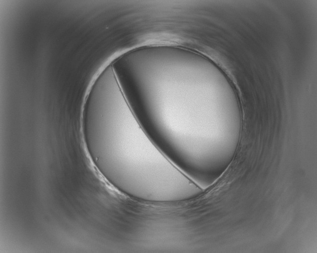 X0000070171488200605260951