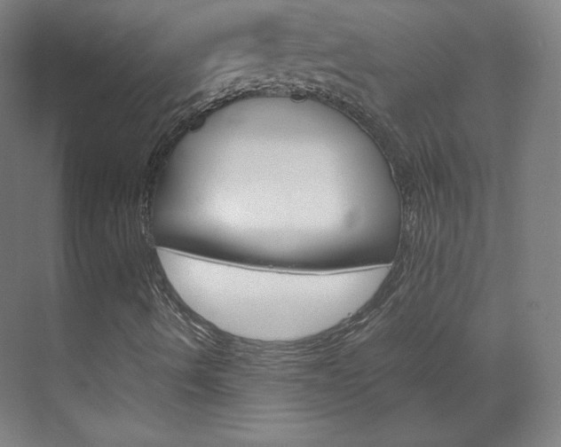 X0000070171490200605260951