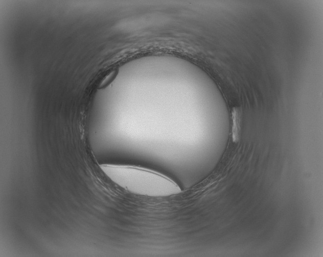 X0000070171491200605260951