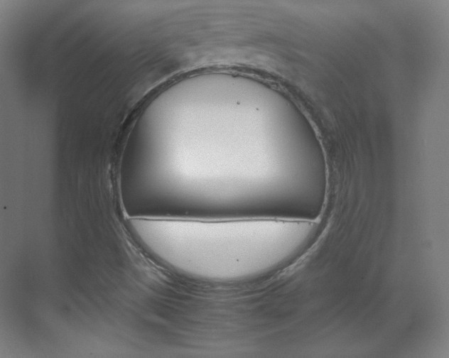 X0000070171497200605260951