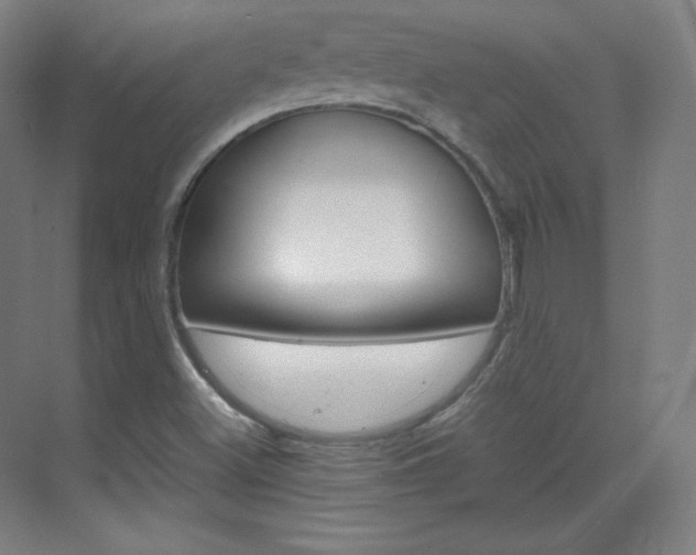 X0000070171500200605260951
