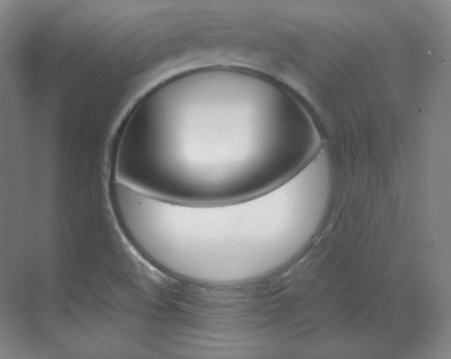 X0000070171508200605260951