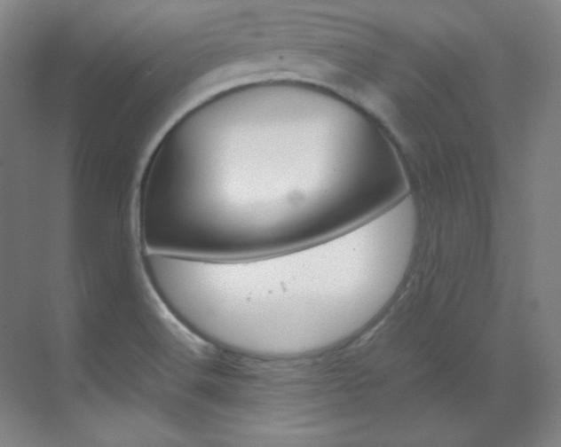 X0000070171516200605260951