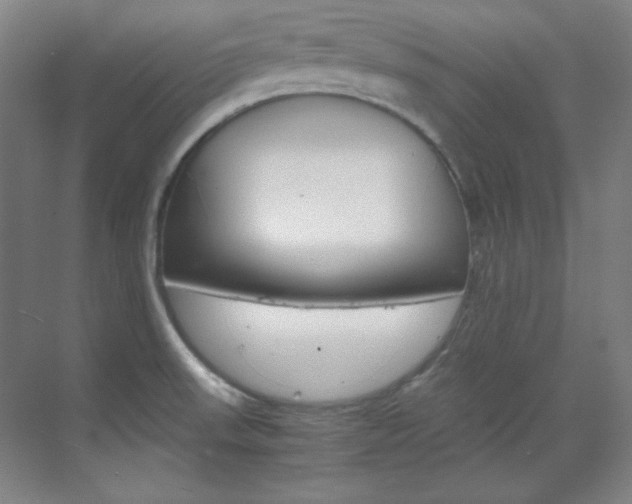 X0000070171523200605260951